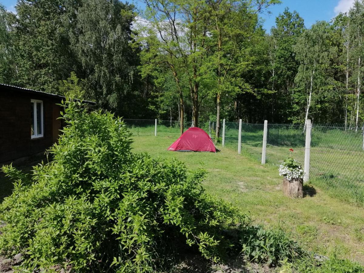 Agroturystyka Pod Dobrymi Skrzydlami Wiski Exterior photo